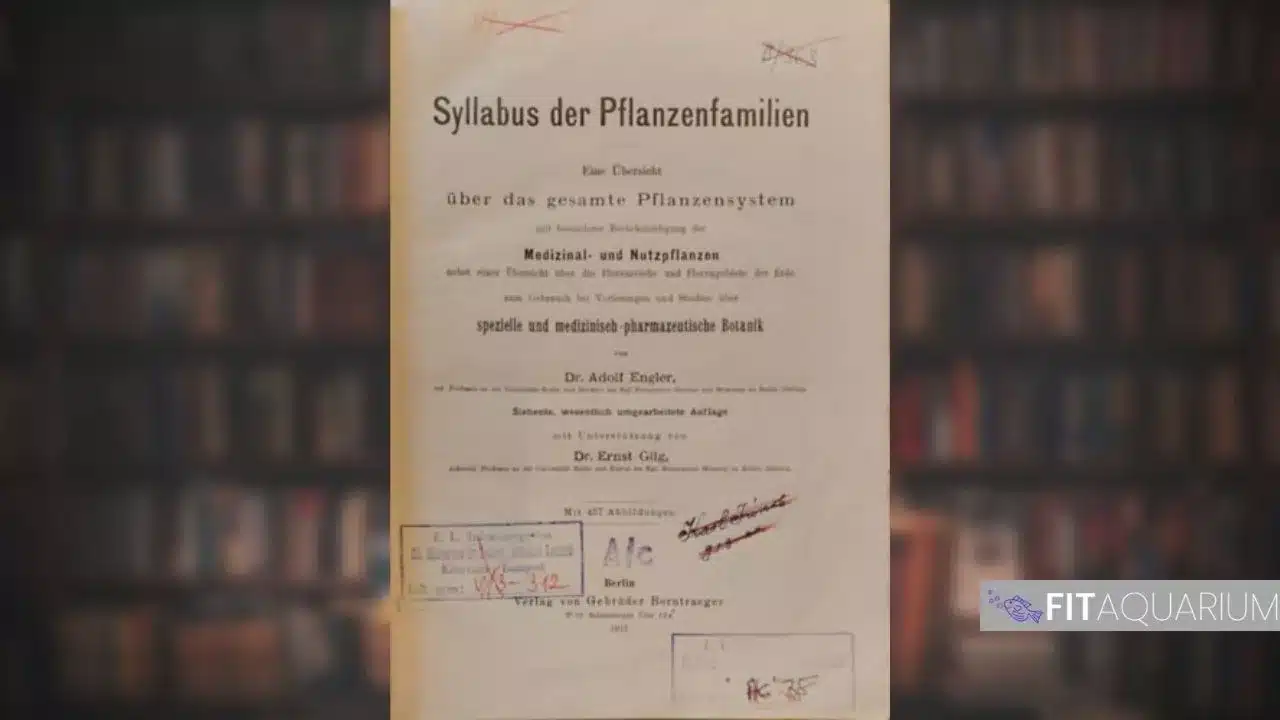 Cover of syllabus de pflanzenfalinien