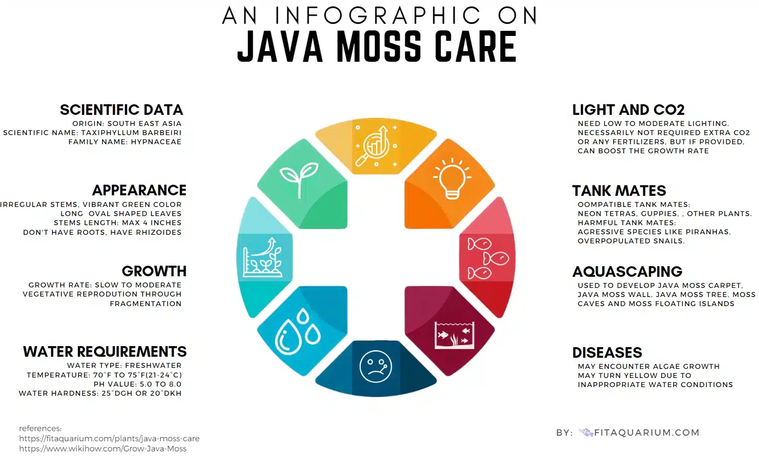 Java moss infographic