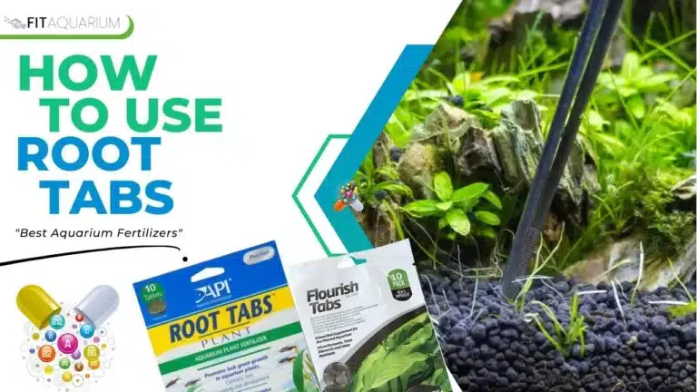 How to use root tabs