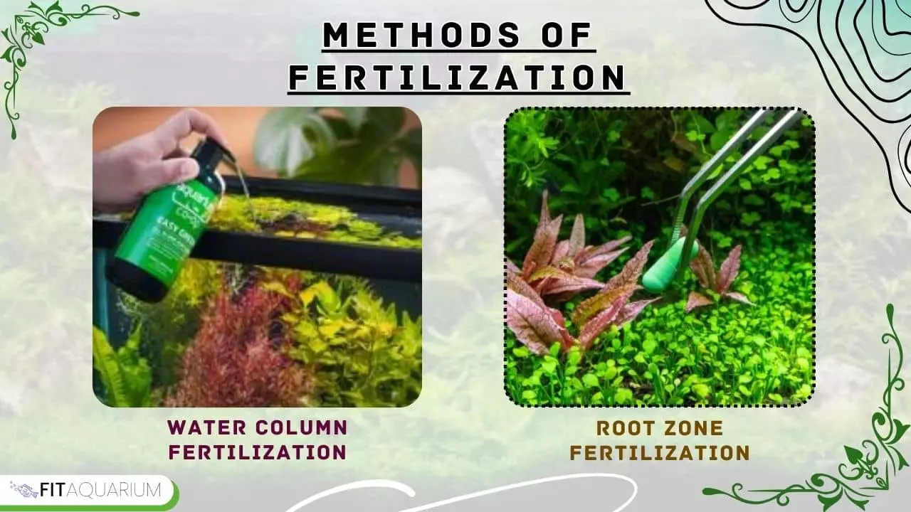 Methods of fertilization in aquarium tank