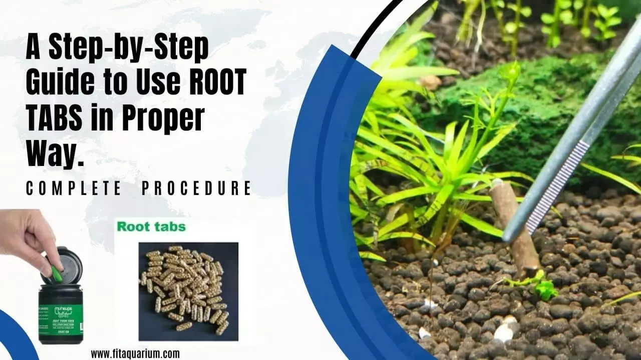 Step-by-step guide to use root tabs