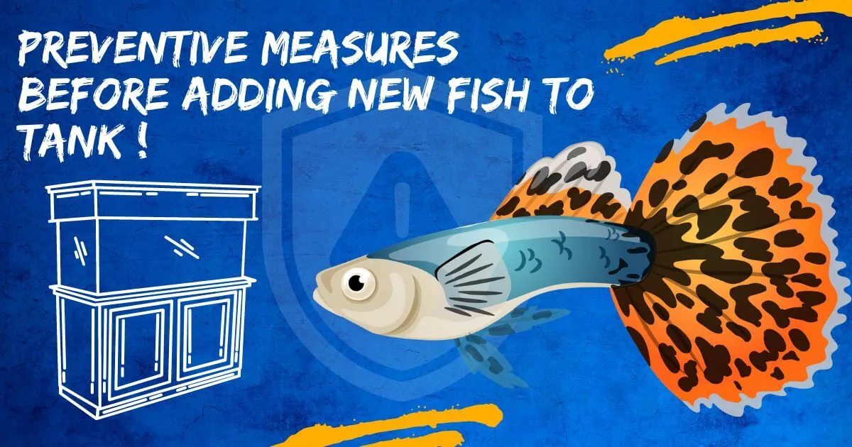 Preventive measures before adding new fish to the tank